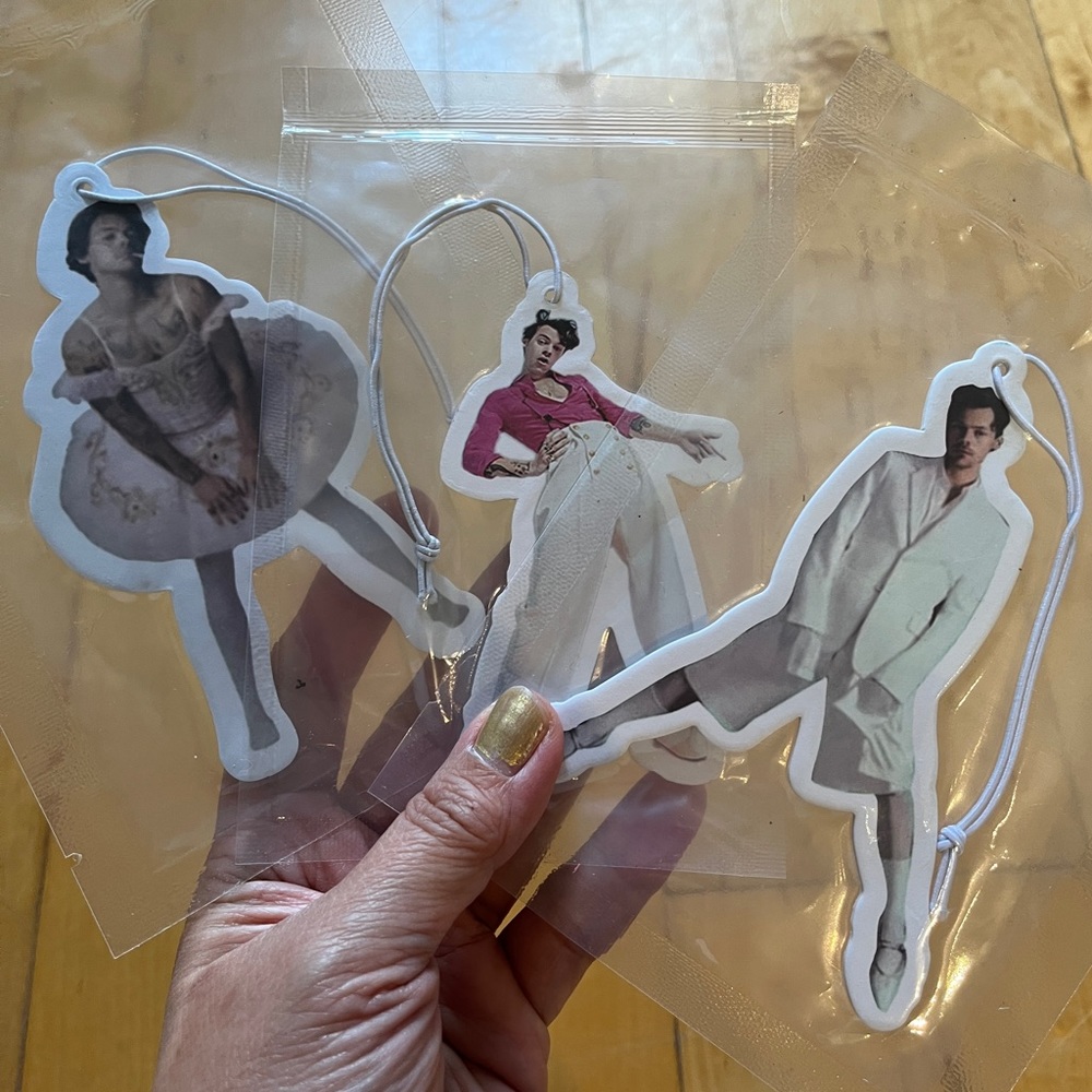 HARRY STYLES Car Air Freshener Scented Decor Gag Gift Pop Art Celebrity Funny xo